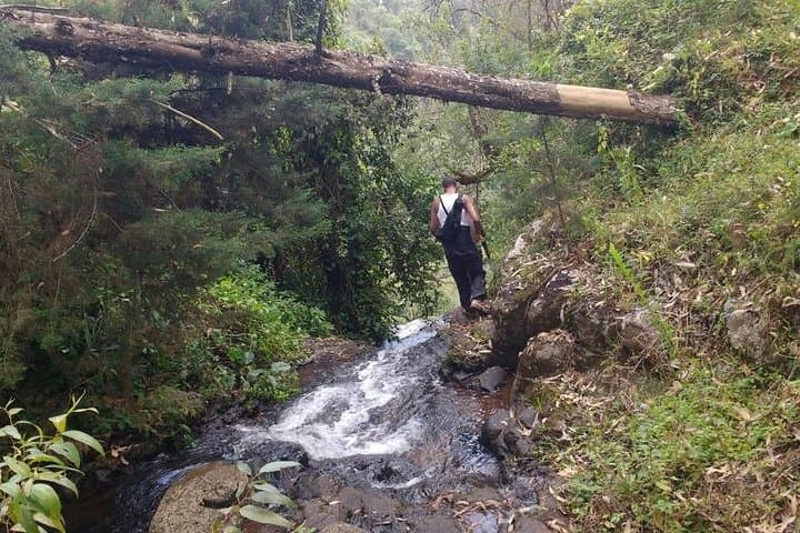 Mambori Waterfalls Day Hike: Kilimanjaro Foothills Forest Walk from Moshi photo 5