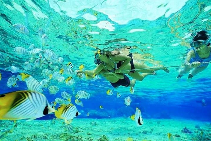 Dive Into Adventure: Snorkeling with Sharks and Rays in Punta Cana photo 3