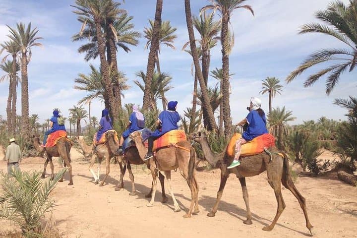 Camel Trek in Marrakech Palmeraie: Palm-Grove Ride & Moroccan Tea Break