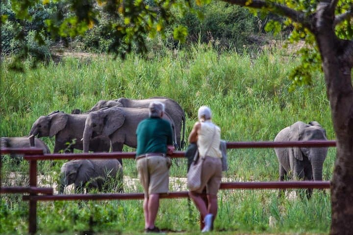 Private Full-Day Kruger Park Safari from Hazyview or Skukuza photo 6