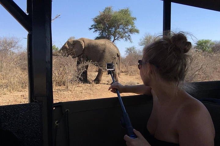 Private Full-Day Kruger Park Safari from Hazyview or Skukuza photo 5