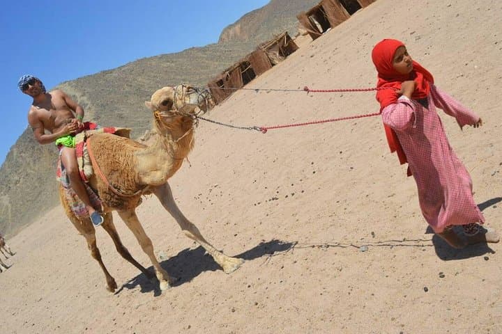 Sharm El Sheikh Sunset Desert Quad Biking, Bedouin Show & Dinner photo 2