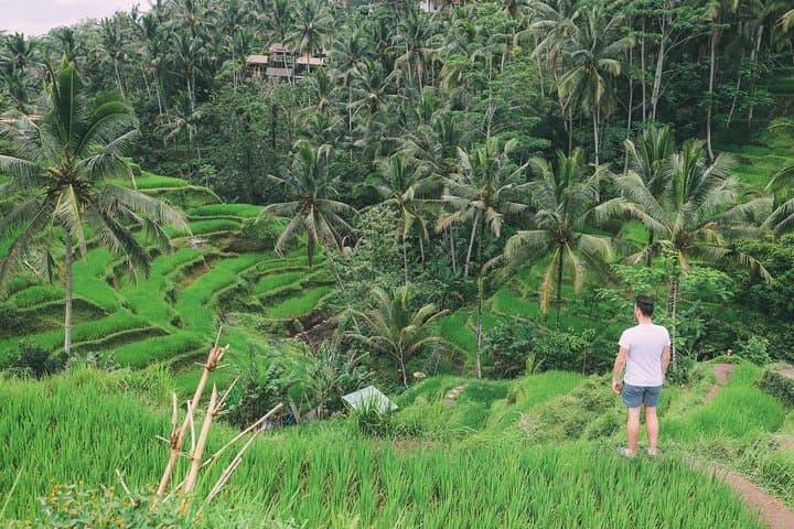 Ubud Experience: Full-Day Countryside Tour of Rice Terraces, Temples & Coffee photo 2