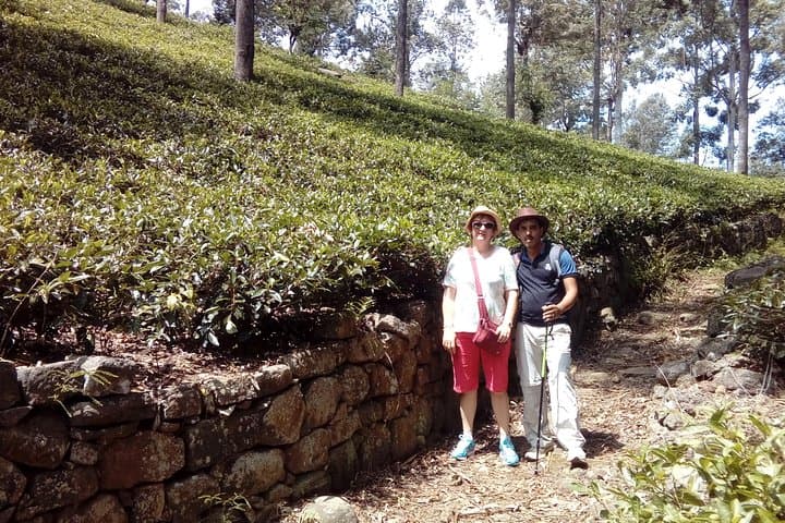 Trekking and Picnic Through Sri Lanka's Uva Tea Plantations photo 4