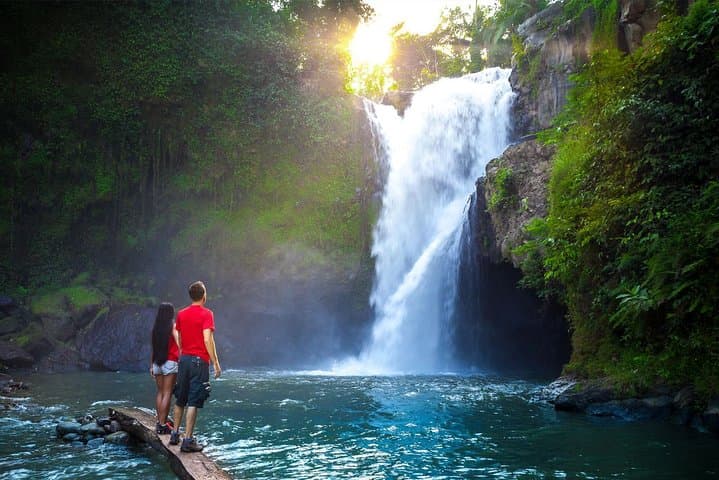 Ubud Experience: Full-Day Countryside Tour of Rice Terraces, Temples & Coffee