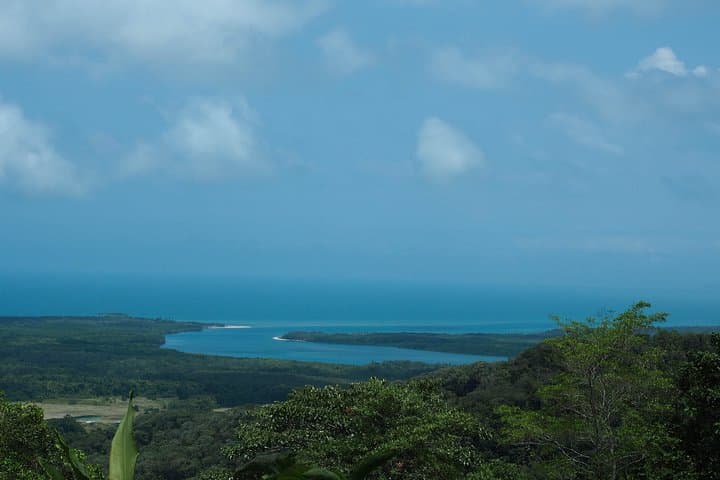 Cape Tribulation & Daintree Wilderness: Full-Day Rainforest Meets Reef Adventure photo 3
