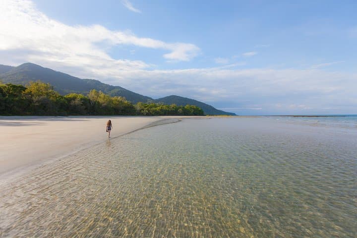 Cape Tribulation & Daintree Wilderness: Full-Day Rainforest Meets Reef Adventure photo 4