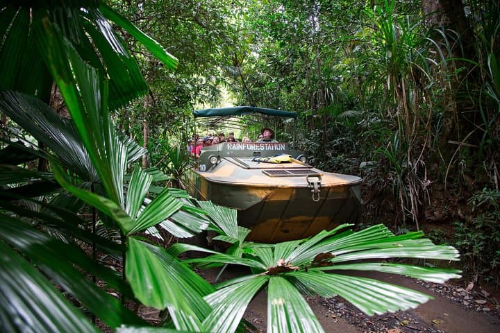 Kuranda Day Trip: Skyrail, Kuranda Scenic Railway & Rainforestation photo 6