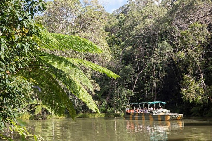 Kuranda Day Trip: Skyrail, Kuranda Scenic Railway & Rainforestation photo 4