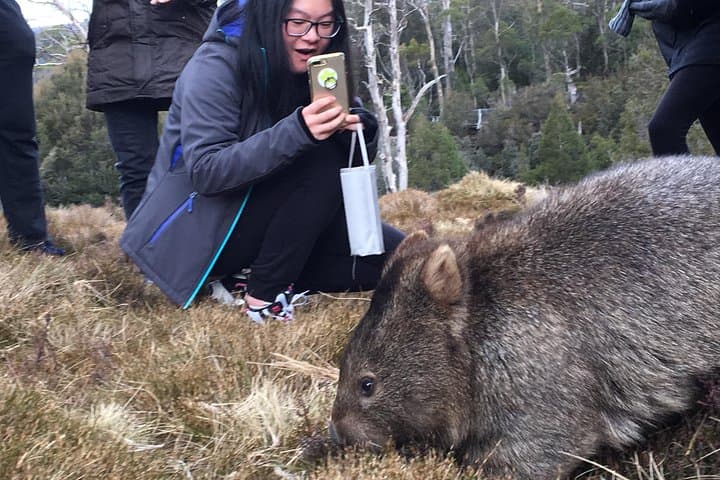 Cradle Mountain Day Tour: Hobart to Launceston via Dove Lake & Enchanted Forest photo 2