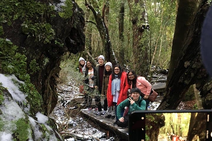 Cradle Mountain Day Tour: Hobart to Launceston via Dove Lake & Enchanted Forest photo 4