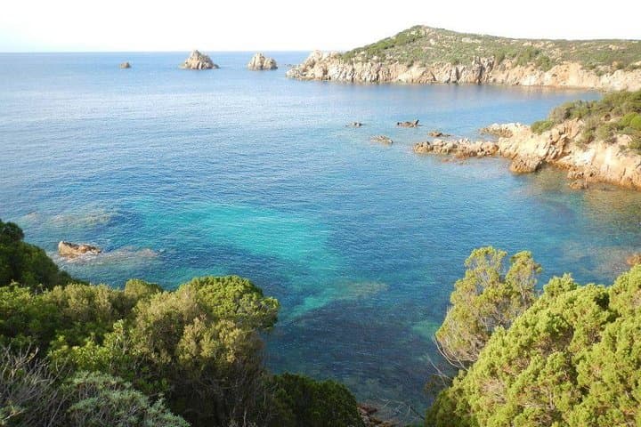 Coasteering in Chia: Guided Coastal Adventure from Pinus Village photo 4