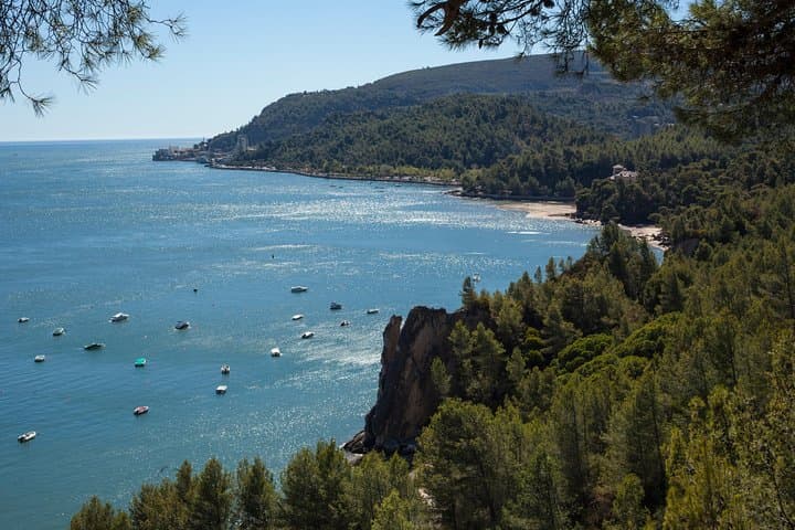 Arrábida Full-Day Private Tour: Sesimbra, Muscatel Wine & Cabo Espichel Sunset photo 3
