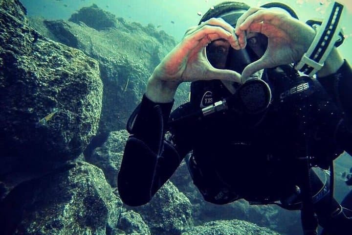 Try Scuba Diving in Madeira: Introductory Sea Dive Near Funchal photo 4