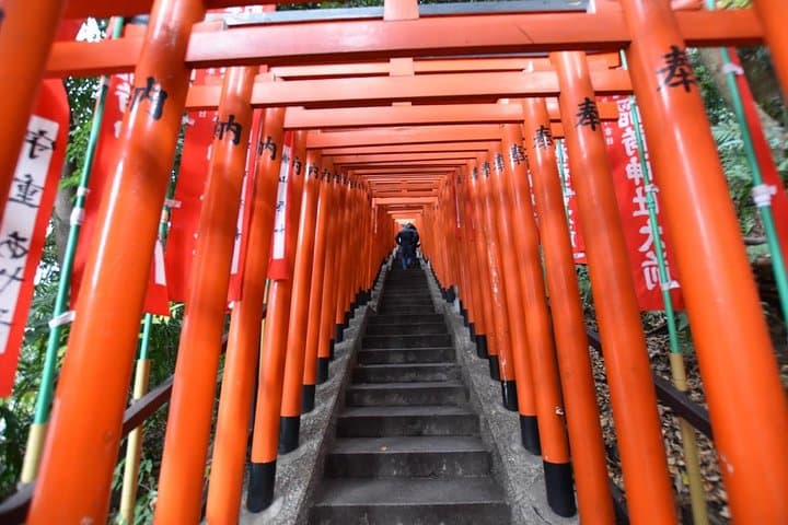 5-Hour Haneda Layover: Private Car Tour with Local Japanese Guide in Tokyo photo 1