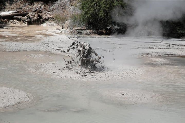 Rotorua Geothermal and Mt Maunganui Boutique Day Tour from Tauranga photo 3