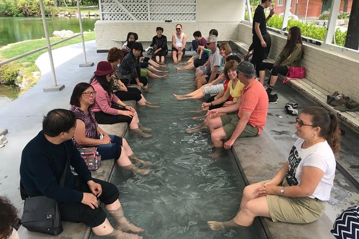Rotorua Shore Excursion: Gondola, Luge & Geothermal Highlights from Tauranga photo 2