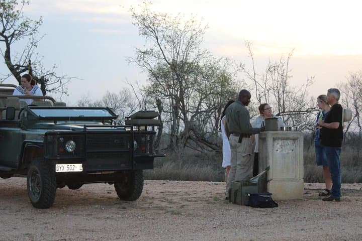 5-Day Manyeleti Safari: Big Five Open-Vehicle Adventure from Johannesburg photo 3