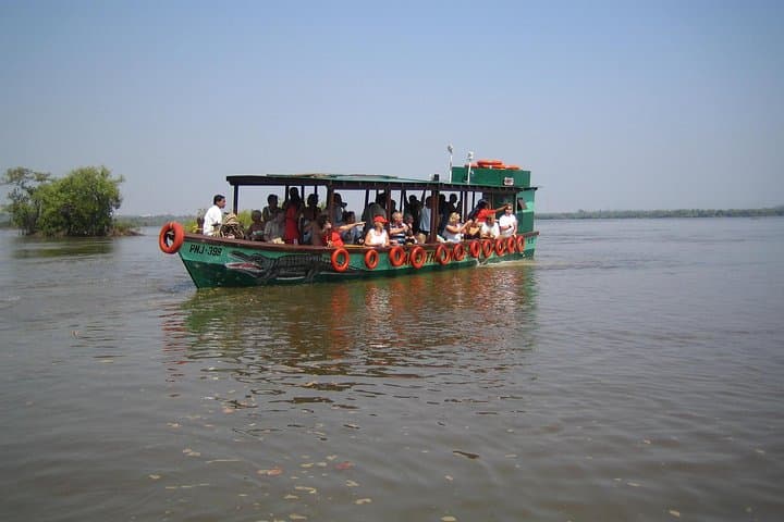Crocodile Spotting and Spice-Plantation Walk near Panaji: Mangroves to Meals