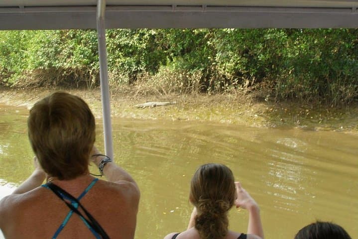 Crocodile Spotting and Spice-Plantation Walk near Panaji: Mangroves to Meals photo 2