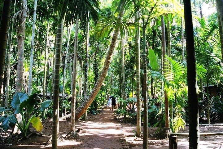 Crocodile Spotting and Spice-Plantation Walk near Panaji: Mangroves to Meals photo 4