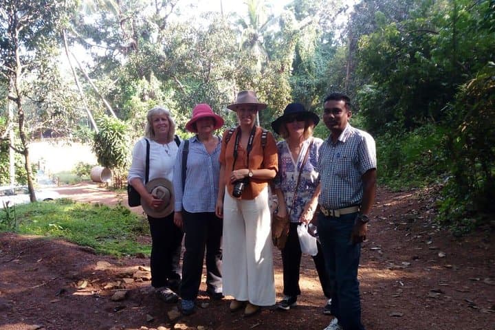 Crocodile Spotting and Spice-Plantation Walk near Panaji: Mangroves to Meals photo 5