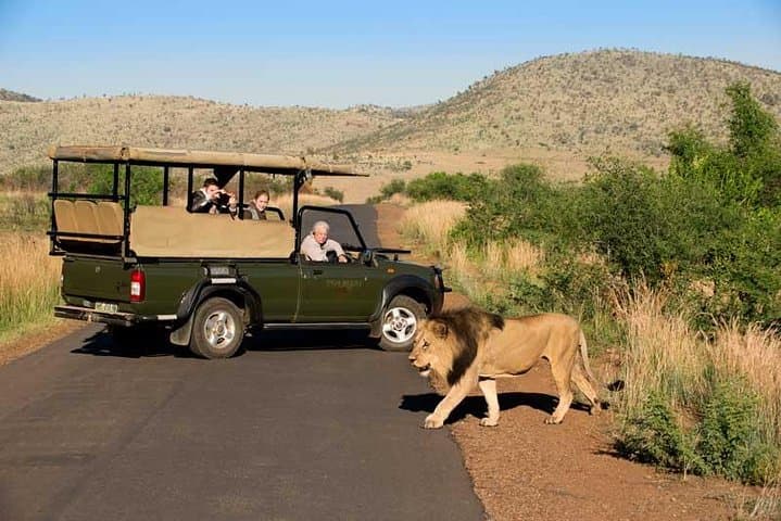 Pilanesberg Day Safari from Johannesburg: 5-Hour Open Vehicle Game Drive photo 5