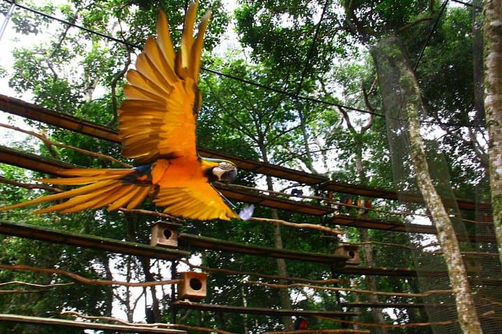 Iguassu Falls: 3-Day Private Tour from Foz do Iguaçu