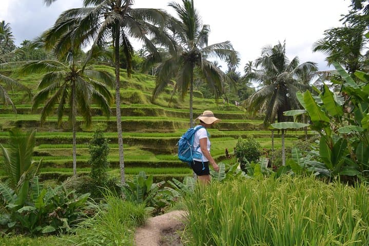 Ubud Full-Day Private Tour: Monkey Forest, Tegalalang & Tegenungan Waterfall photo 6
