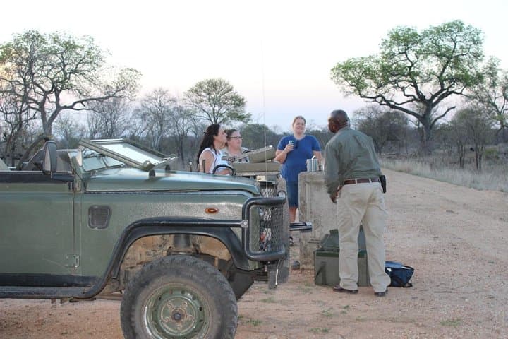 3-Day Manyeleti Private Reserve Safari — Greater Kruger Big Five Experience photo 6