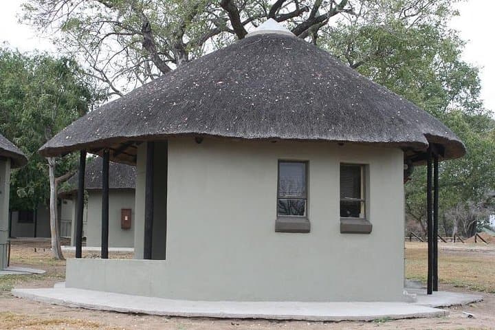 5-Day Manyeleti Safari: Big Five Open-Vehicle Adventure from Johannesburg photo 5