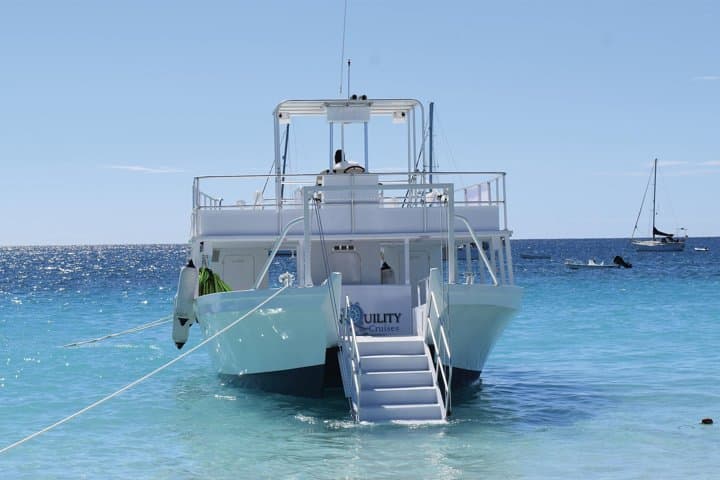 Carlisle Bay Snorkel Cruise & Beach Day — Turtle and Shipwreck Adventure in Barbados photo 3