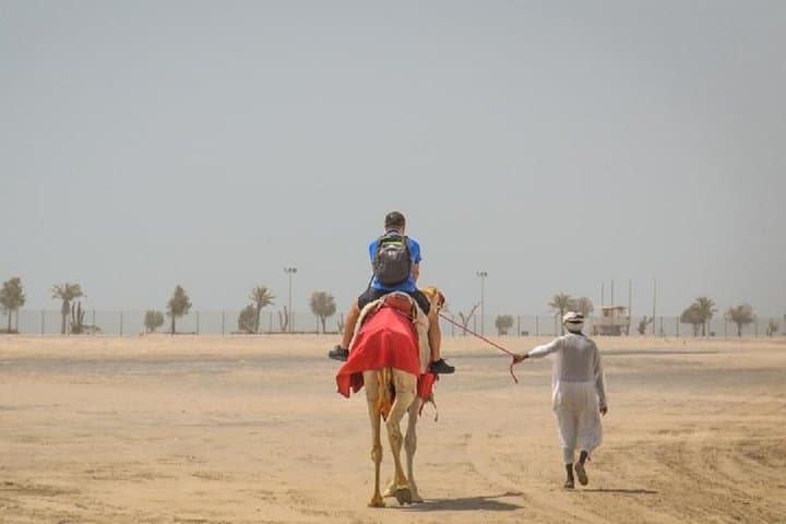 South Coast Camel Ride and Al Wakkrah Fort Day Tour photo 2