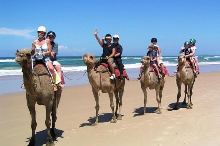 South Coast Camel Ride and Al Wakkrah Fort Day Tour photo 3