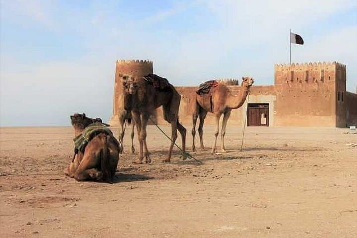 Zubara North Coast Tour Qatar — Al Zubarah Fort & Coastal Heritage photo 3