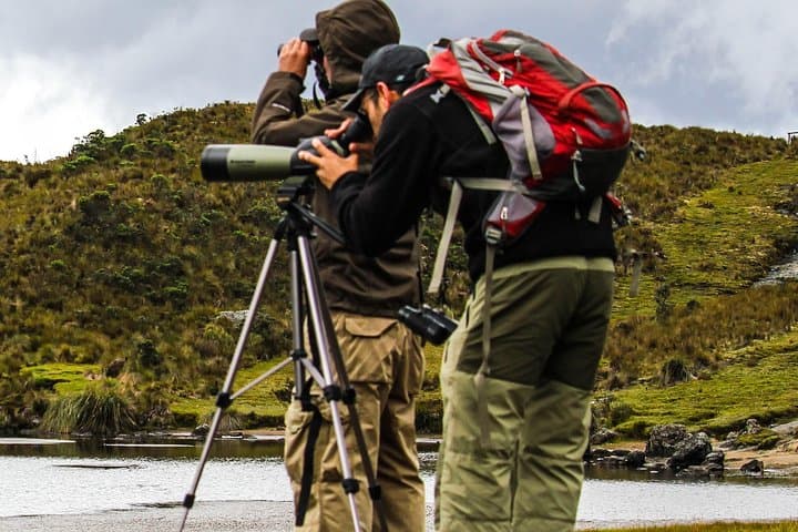 High-Andean Birdwatching in El Cajas: Day Tour from Cuenca photo 2