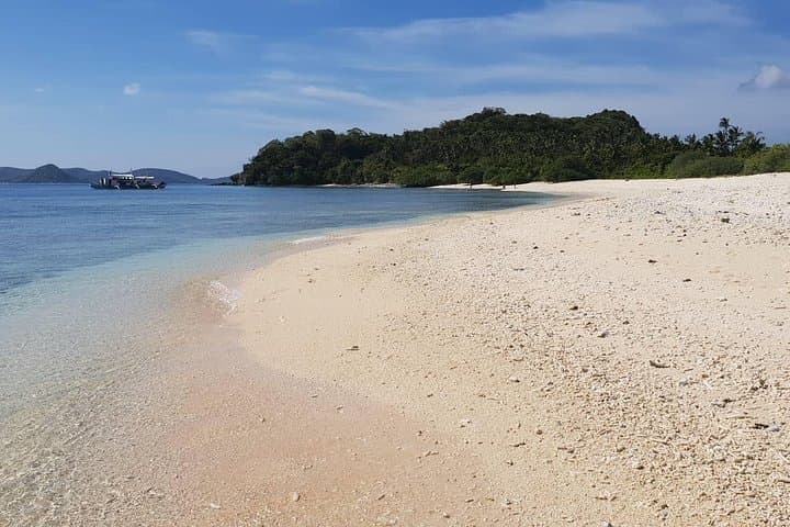 Castaway Island Camping in Linapacan: Overnight Island-Hopping & Snorkel Adventure photo 3