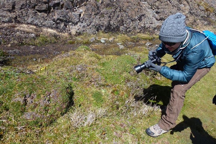High Andean Walks: Cajas National Park Day Tour from Cuenca photo 3