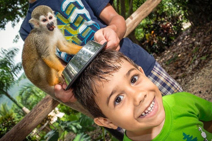 Punta Cana Jungle Buggies and Monkeyland: 4x4 River Tour & Coconut House photo 5