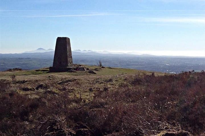 Divis & Black Mountain Guided Trek: Belfast Hilltop Views and Wildlife
