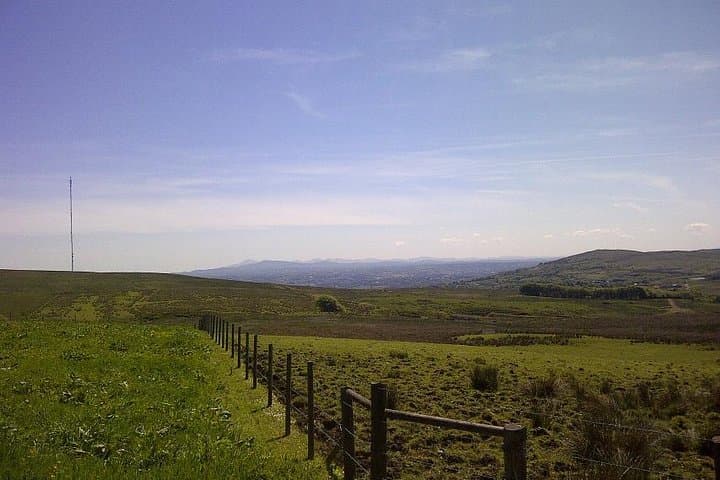 Divis & Black Mountain Guided Trek: Belfast Hilltop Views and Wildlife photo 2