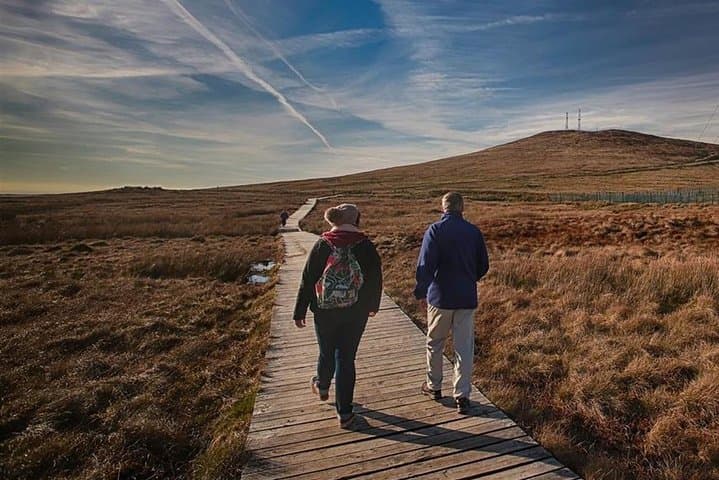 Divis & Black Mountain Guided Trek: Belfast Hilltop Views and Wildlife photo 5
