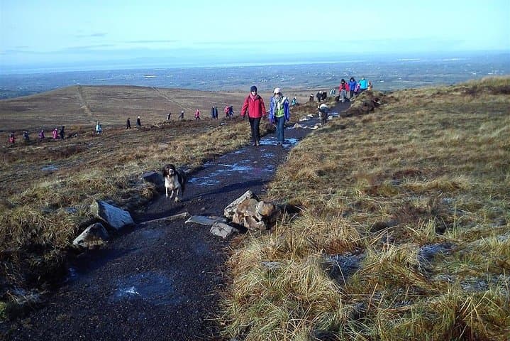 Divis & Black Mountain Guided Trek: Belfast Hilltop Views and Wildlife photo 6