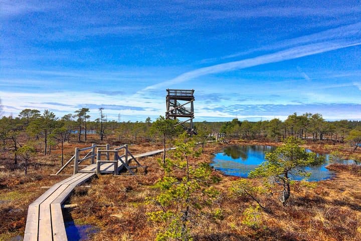Day Trip from Riga: Kemeri Bog Boardwalk, Kanieris Lake & Sulphur Springs photo 4