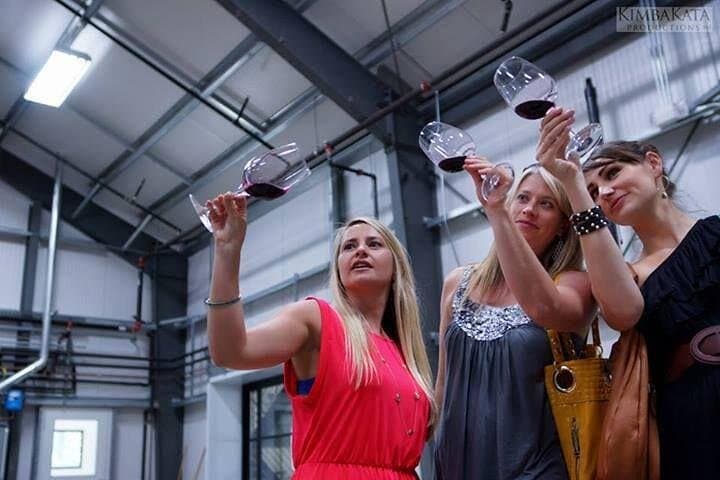 Exclusive Small-Group Wine Tasting in Santa Barbara’s Private Estates photo 5