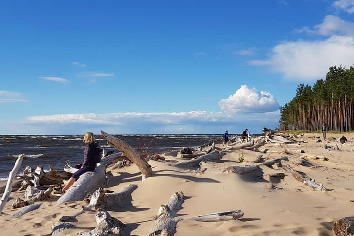 Four Natural Ecosystems in One Hike: Coastal Forests, Lakes, Beach & Gauja Delta Near Riga photo 1