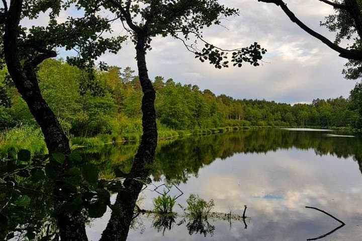 Four Natural Ecosystems in One Hike: Coastal Forests, Lakes, Beach & Gauja Delta Near Riga photo 4