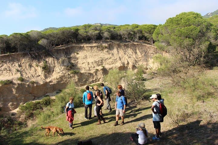 Mountain-to-Beach Hike on Costa de la Luz: Sierra de la Plata to Zahora photo 2