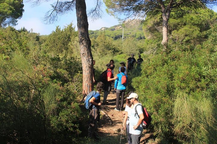 Mountain-to-Beach Hike on Costa de la Luz: Sierra de la Plata to Zahora photo 3