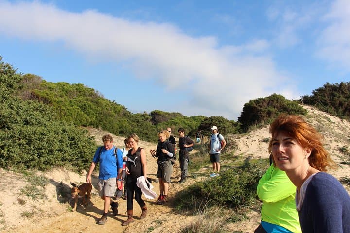 Mountain-to-Beach Hike on Costa de la Luz: Sierra de la Plata to Zahora photo 4